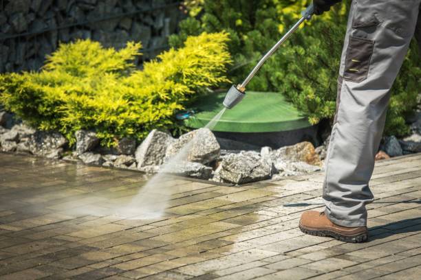 Spring Cleaning in Roselle, IL