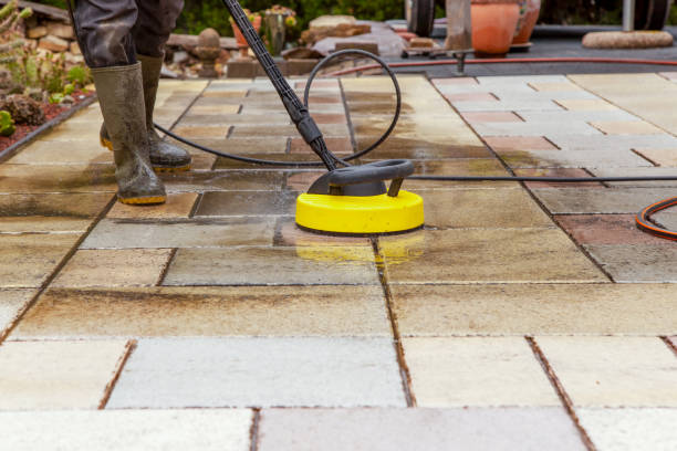 Trusted Roselle, IL Pressure Washing Services Experts